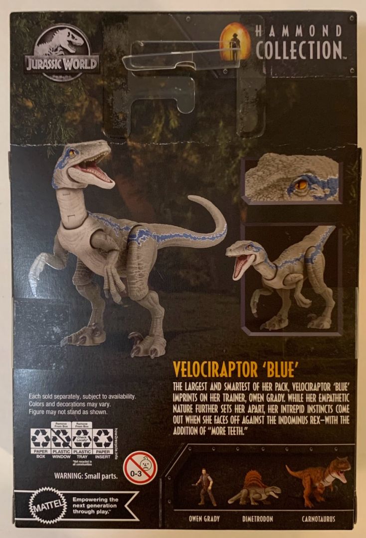 Velociraptor Blue - Image 5