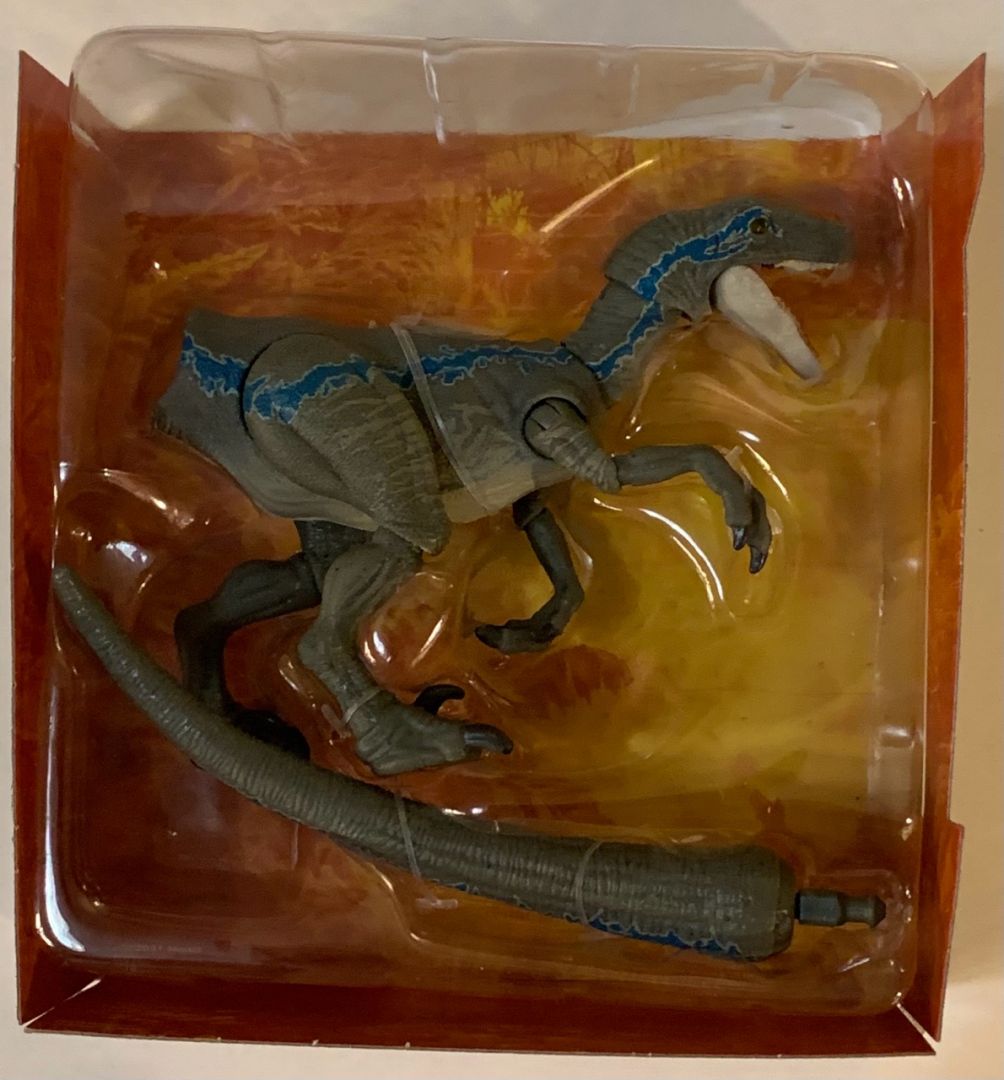 Velociraptor Blue - Image 9