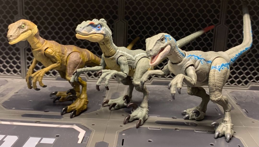 Velociraptor Blue - Image 11