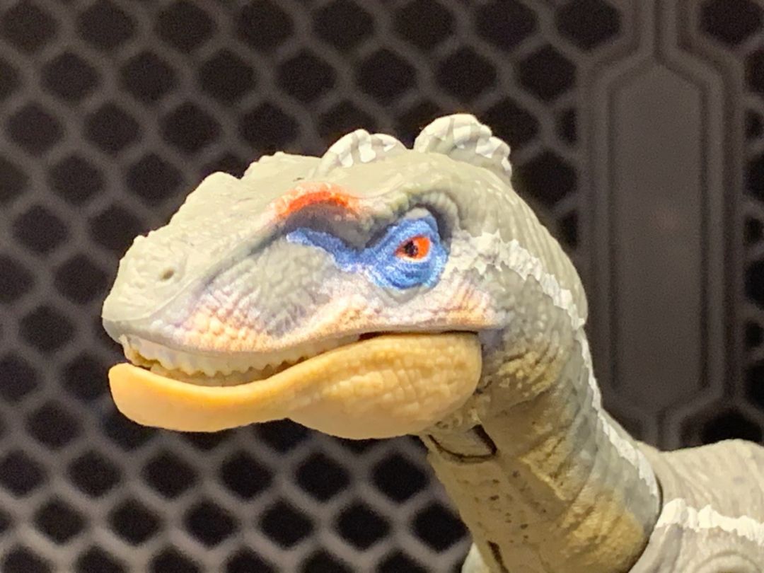 Velociraptor - Image 2