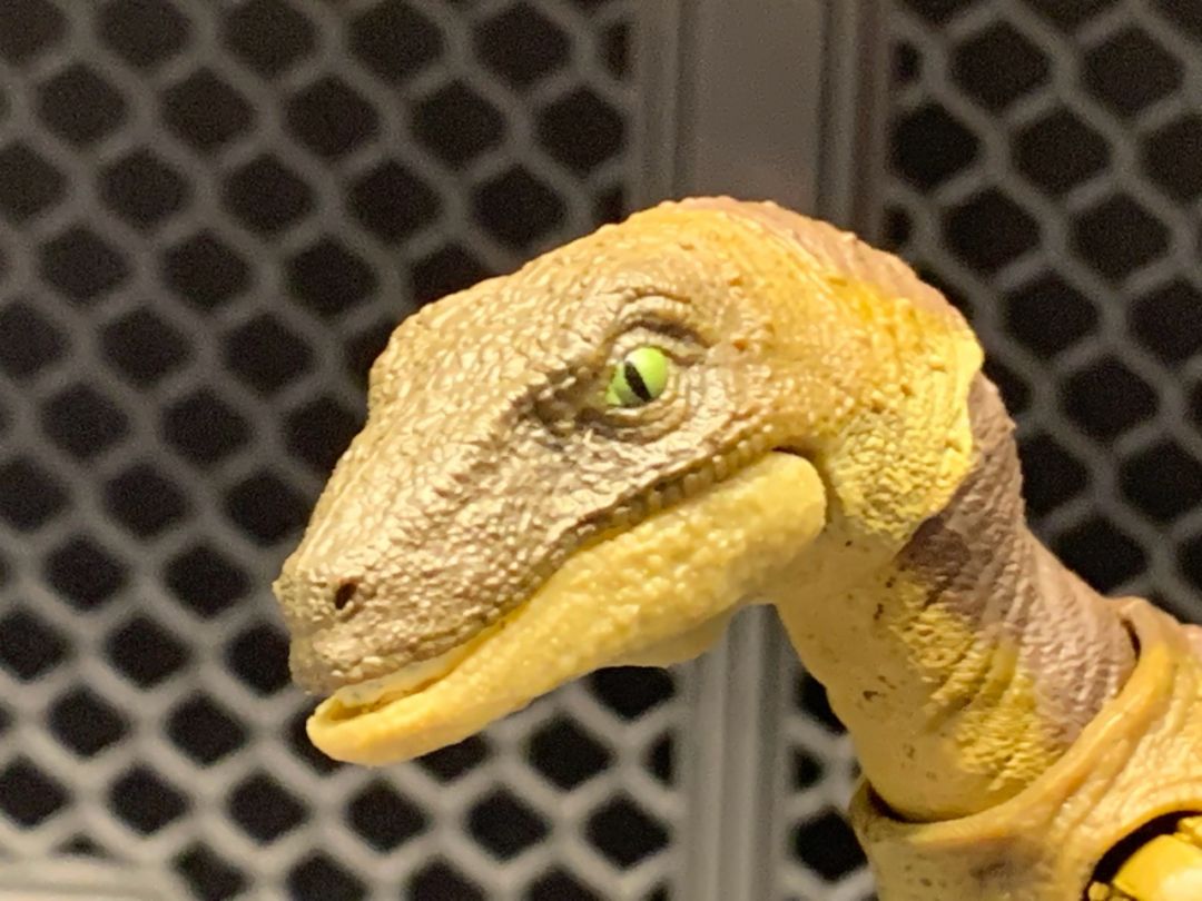 Velociraptor - Image 2