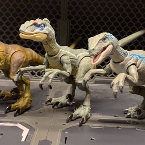 Velociraptor