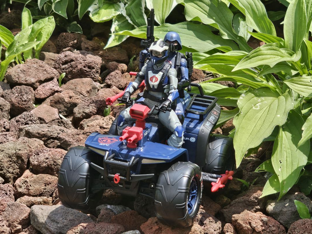 Cobra Ferret - Image 12