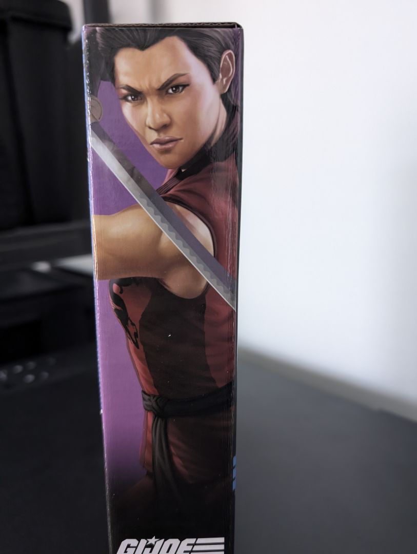 Classified Kim "Jinx" Arashikage - Image 2
