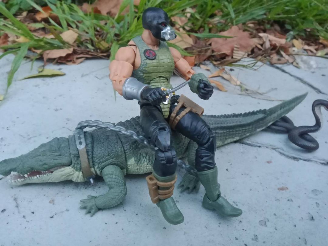 Return Of Croc Master! - Image 2