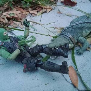 Return Of Croc Master!