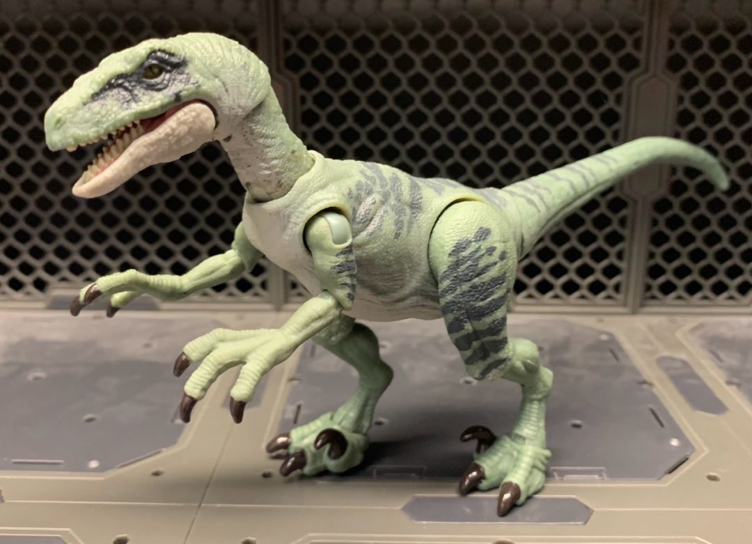 Velociraptor Delta - Image 1
