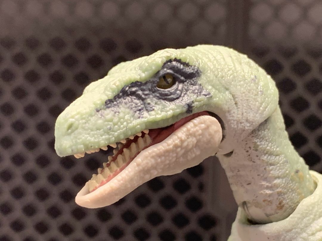 Velociraptor Delta - Image 2