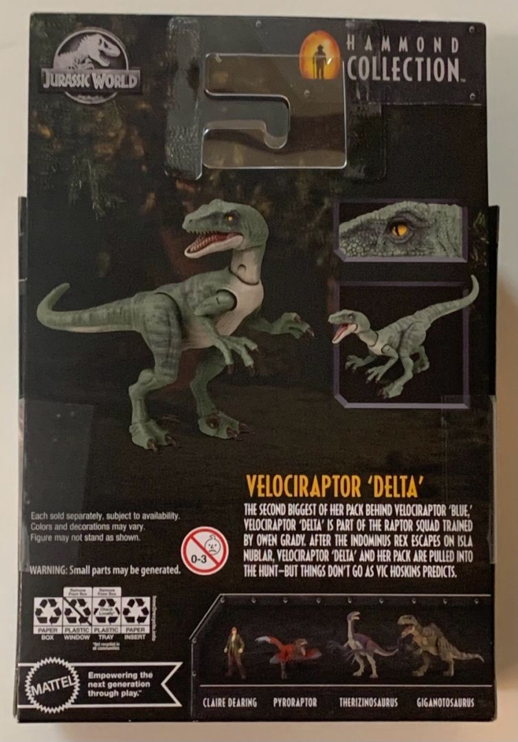 Velociraptor Delta - Image 4