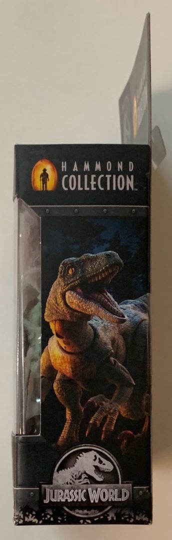 Velociraptor Delta - Image 6