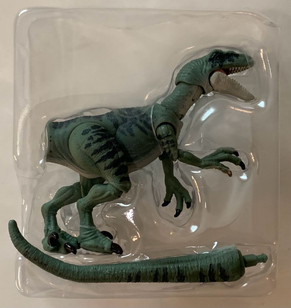 Velociraptor Delta - Image 8