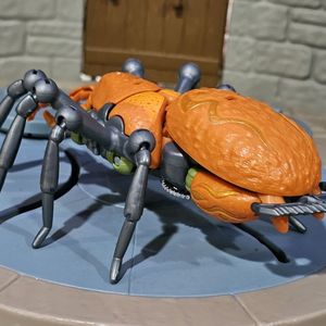 Ninja Tarantulas 