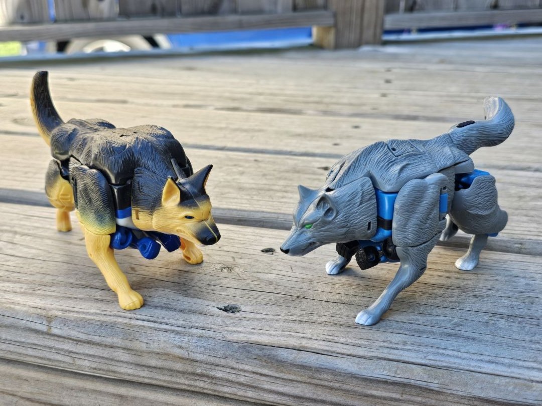 K-9 - Image 8