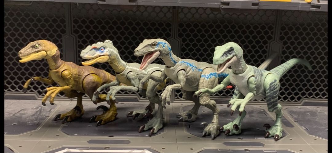 Velociraptor Blue - Image 12