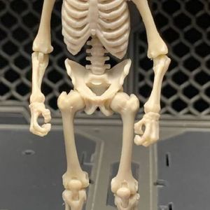 Blank Skeleton (Bone White)
