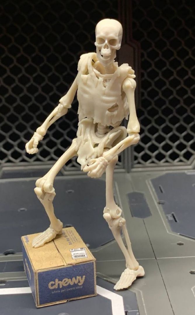 Blank Skeleton (Bone White) - Image 2