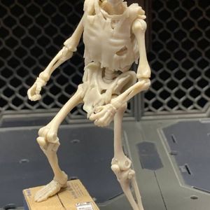 Blank Skeleton (Bone White)