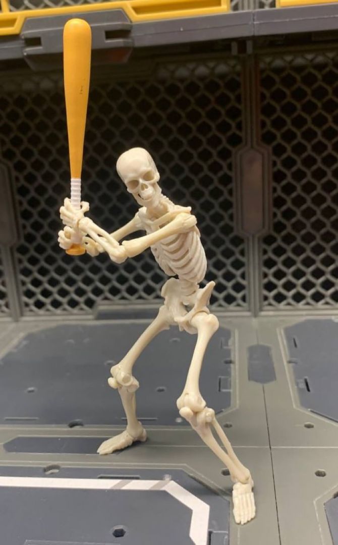 Blank Skeleton (Bone White) - Image 3