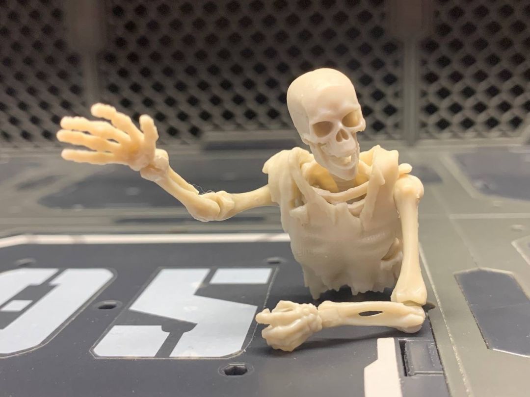 Blank Skeleton (Bone White) - Image 5