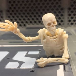 Blank Skeleton (Bone White)