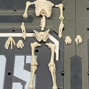 Blank Skeleton (Bone White)