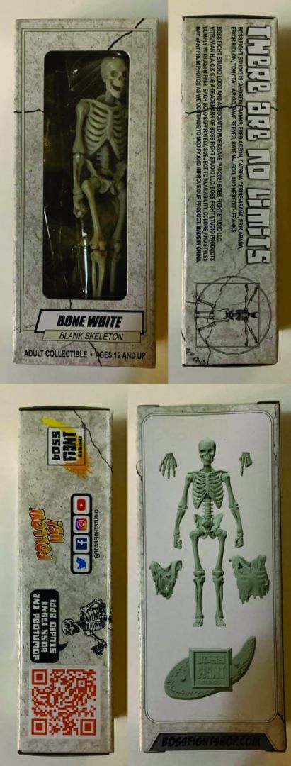 Blank Skeleton (Bone White) - Image 9