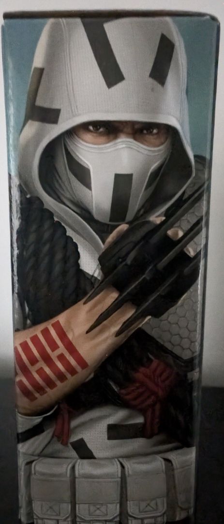Classified Storm Shadow V2  (Digital camo) - Image 2