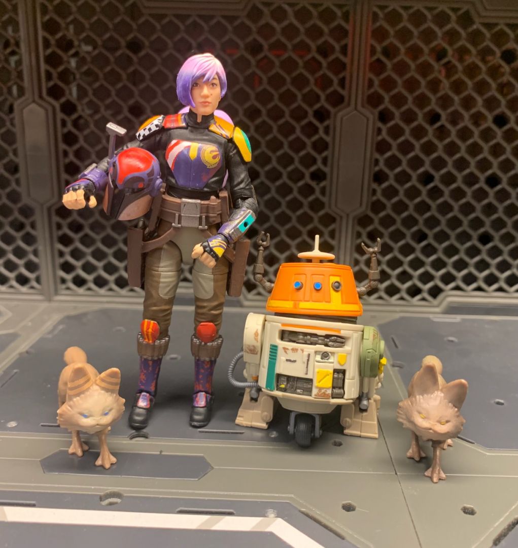 Sabine Wren - Image 15