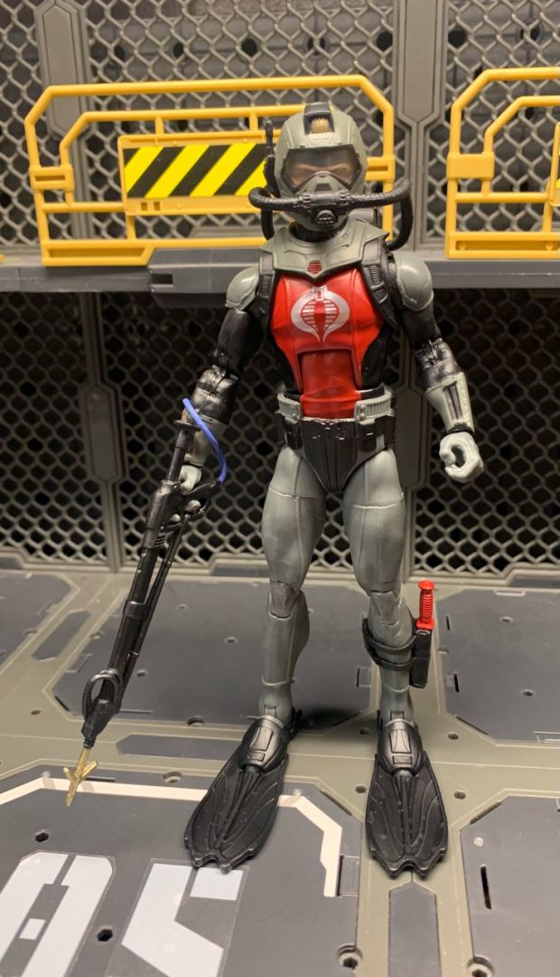 Cobra Eel - Image 2