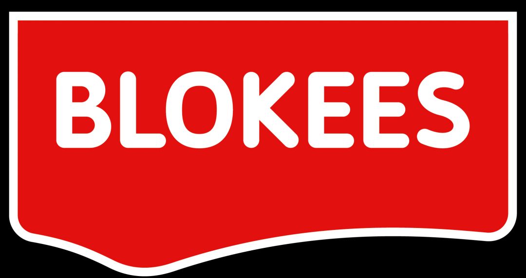 Building Blocks / Blokees 