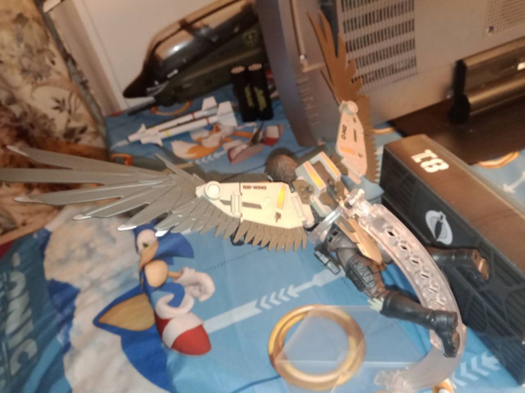 Classified Raptor & Talon - Image 4