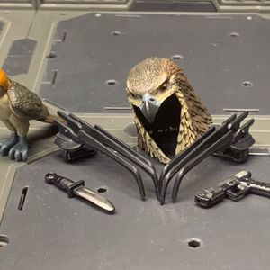 Chip "Raptor" Talon and General Ledger