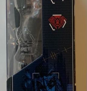 Chip "Raptor" Talon and General Ledger