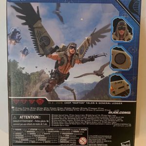 Chip "Raptor" Talon and General Ledger