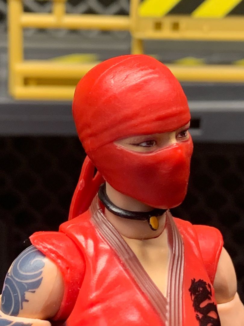 Kim “Jinx” Arashikage - Image 8
