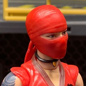 Kim “Jinx” Arashikage