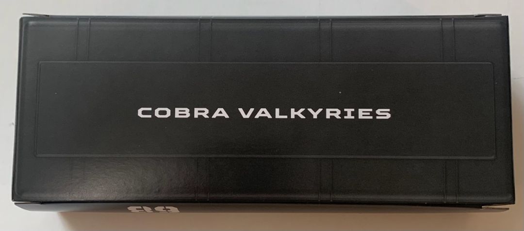 Valkyries - Image 19