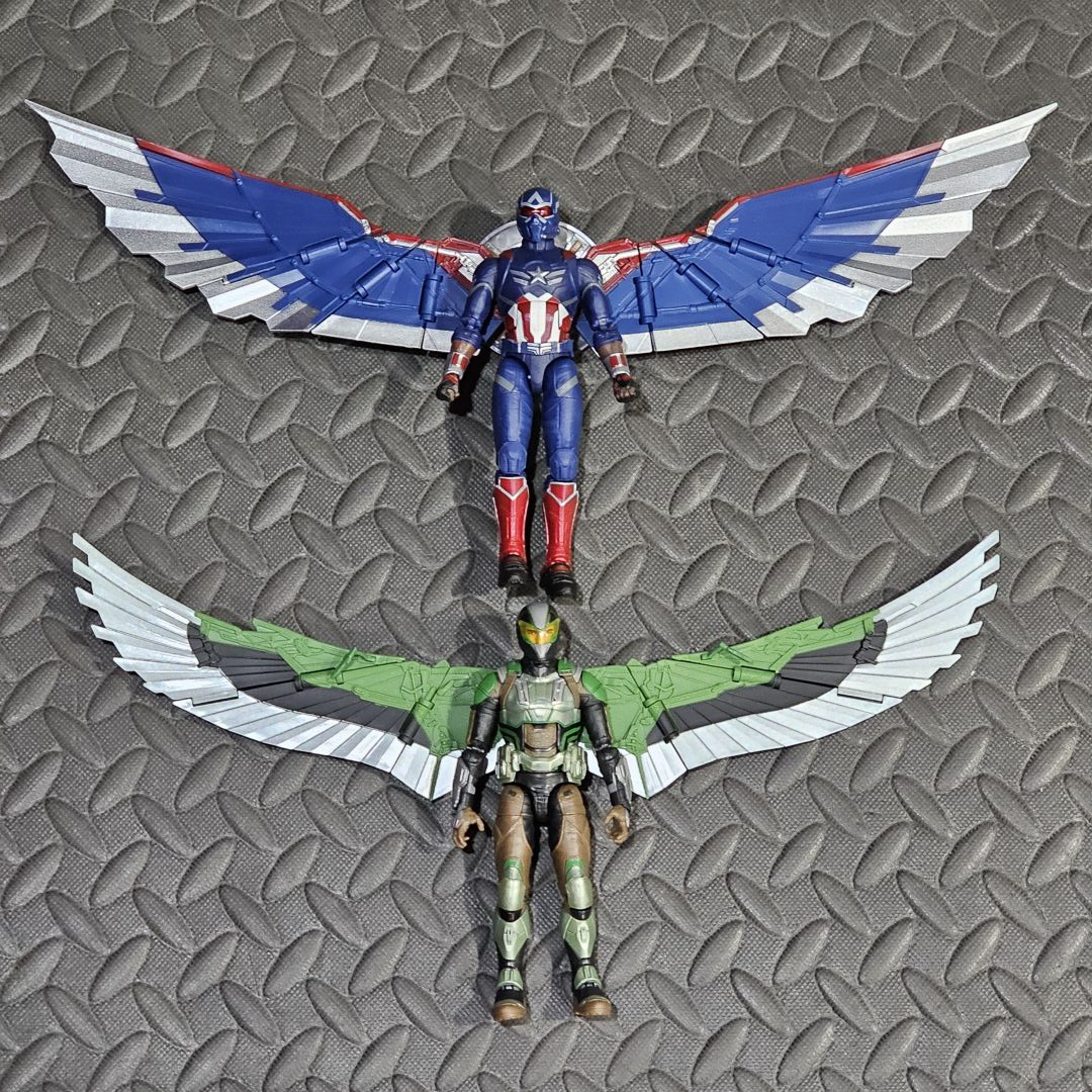 Falcon - Image 8
