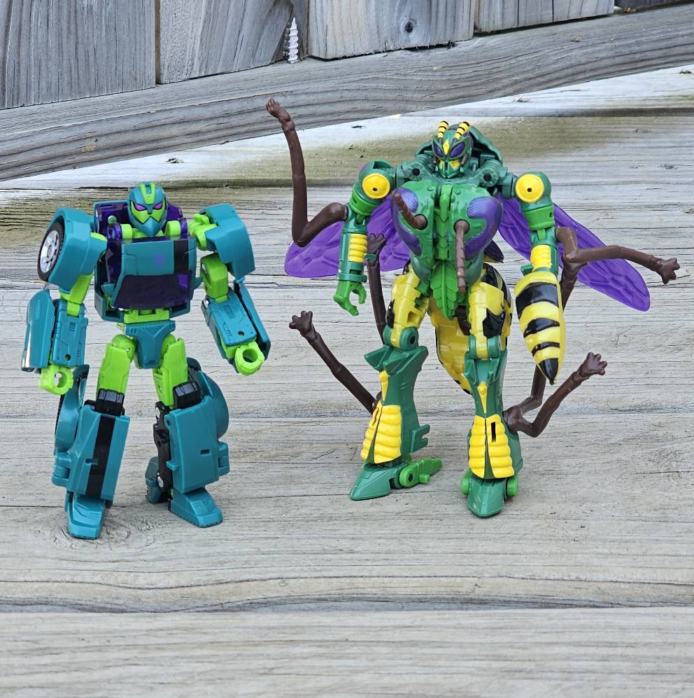 Wasp - Image 7
