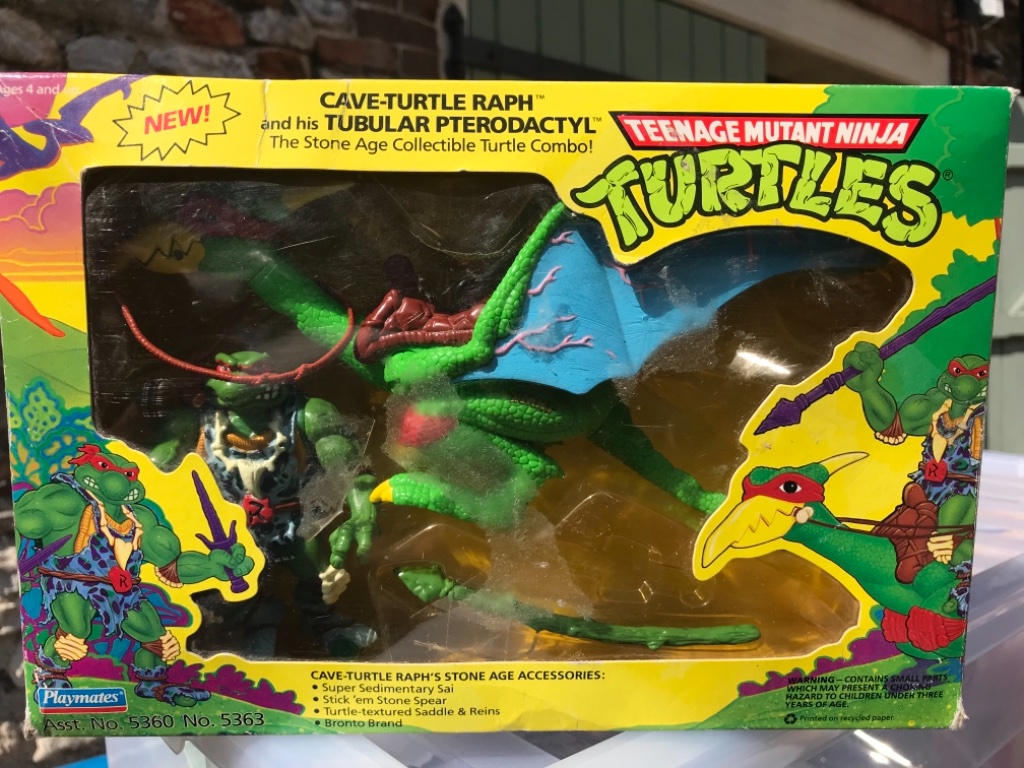 Cave-Turtle Raph and his Tubular Pterodactyl  - Image 2