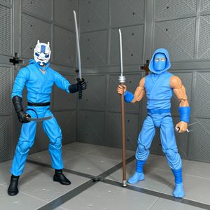 Thunder Ninja & Sky Ninja