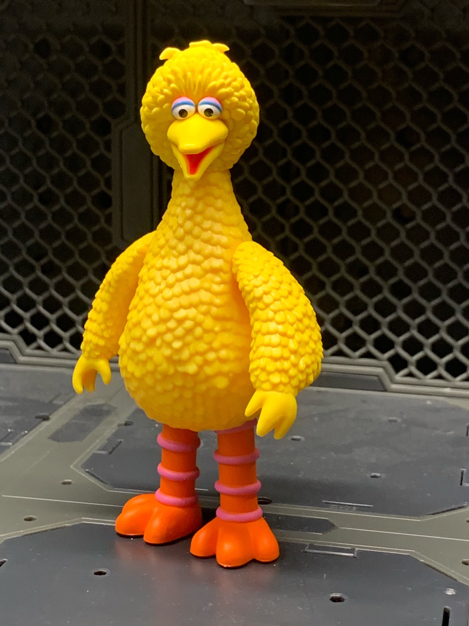 Big Bird - Image 2