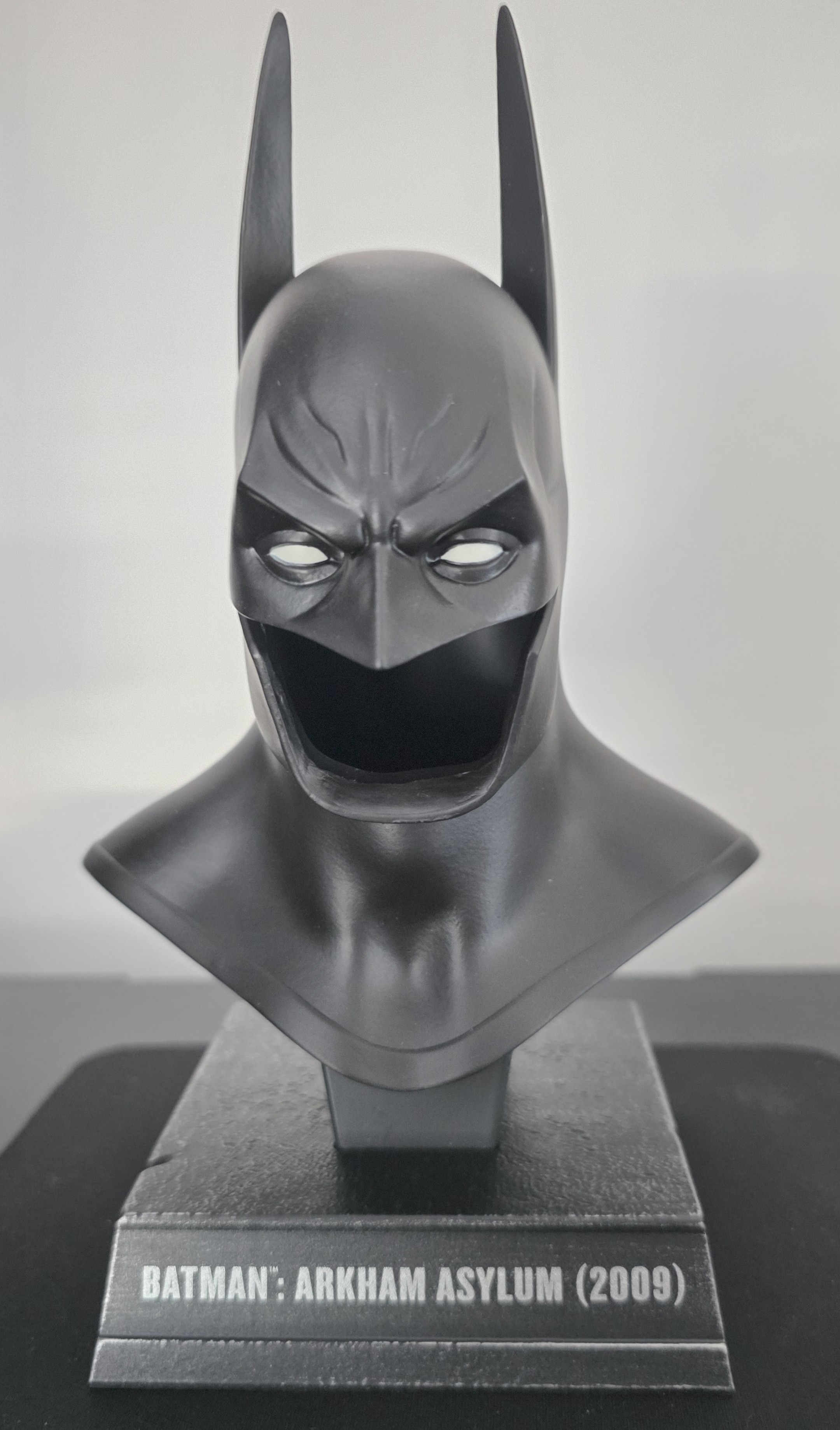 Arkham Asylum Cowl - Image 1