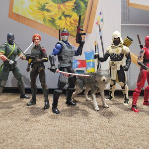 Arashikage Together