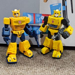 Shinning Bumblebee