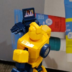 Shinning Bumblebee