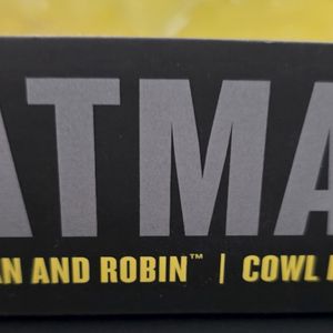 Batman and Robin Cowl (1:3 scale)