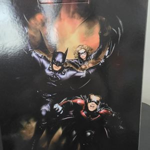 Batman and Robin Cowl (1:3 scale)