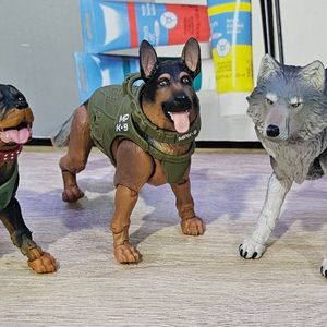 Paw Patrol