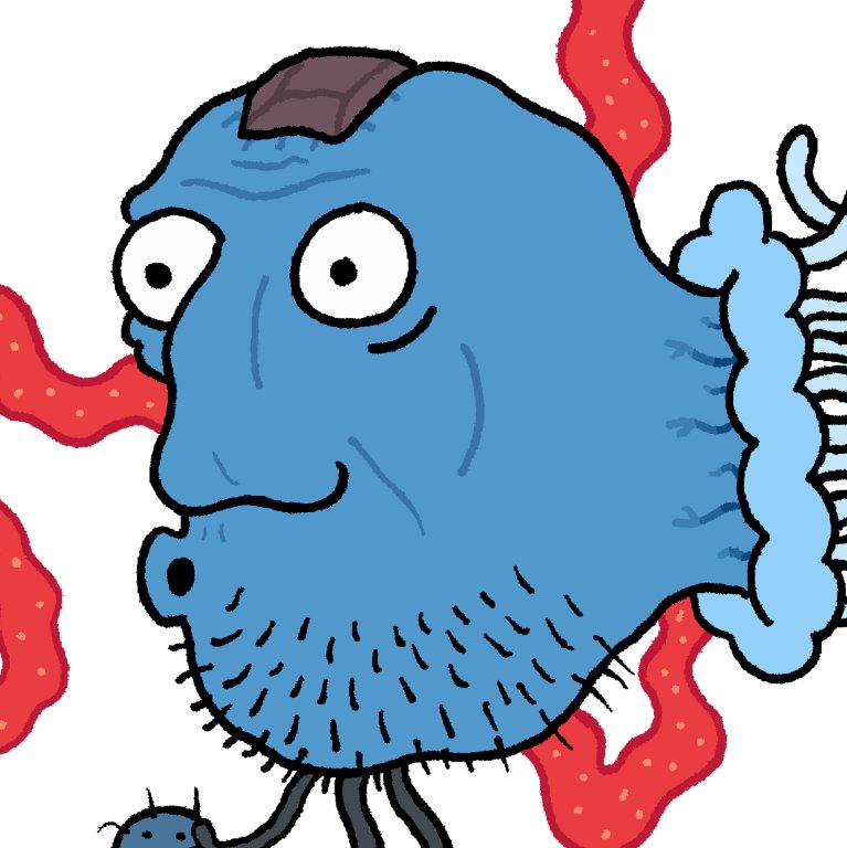 BHarribo